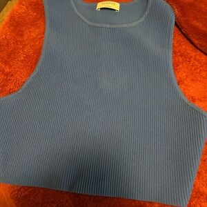 Aritzia Babaton Ribbed Blue Crop Top Sz L